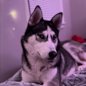 Meet your Posher, Melody